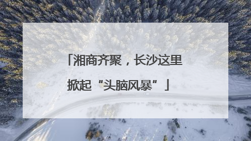 湘商齐聚，长沙这里掀起“头脑风暴”